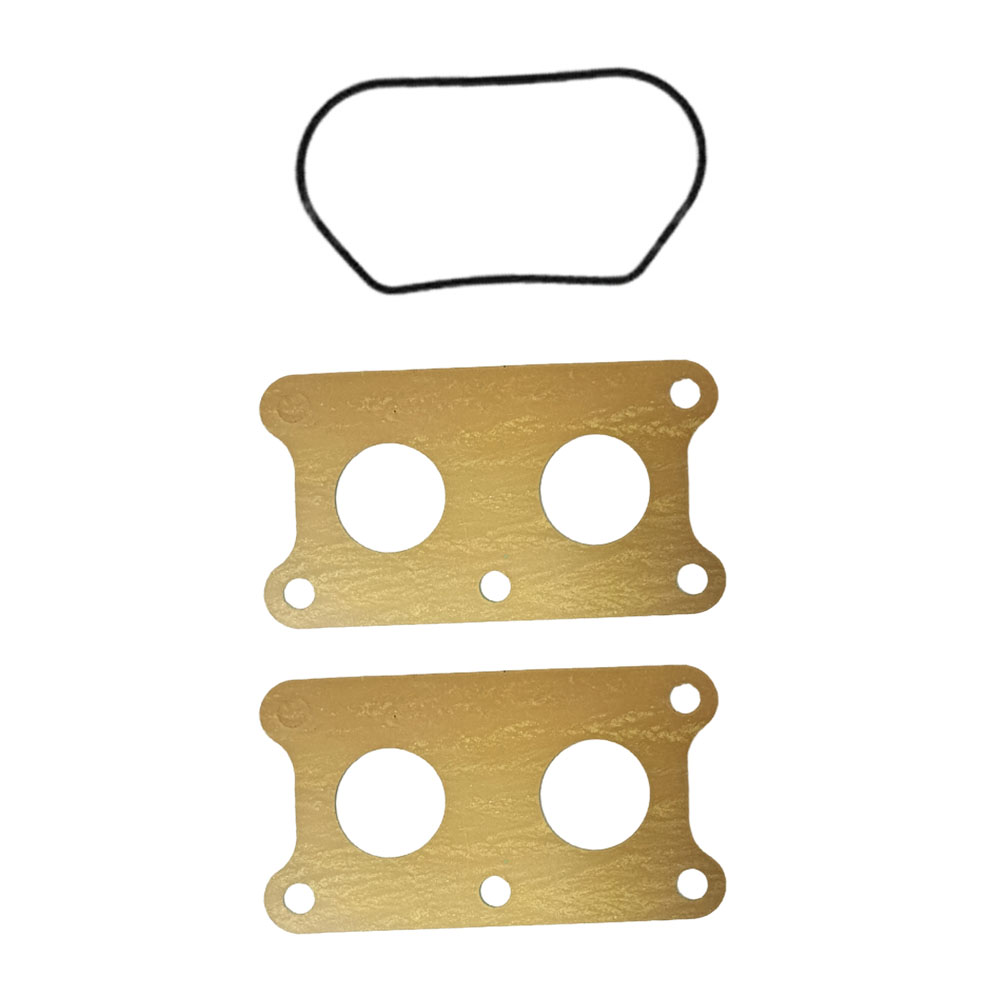 Kit de reparación de carburado - Gardening Tools Shop reseña y precio
