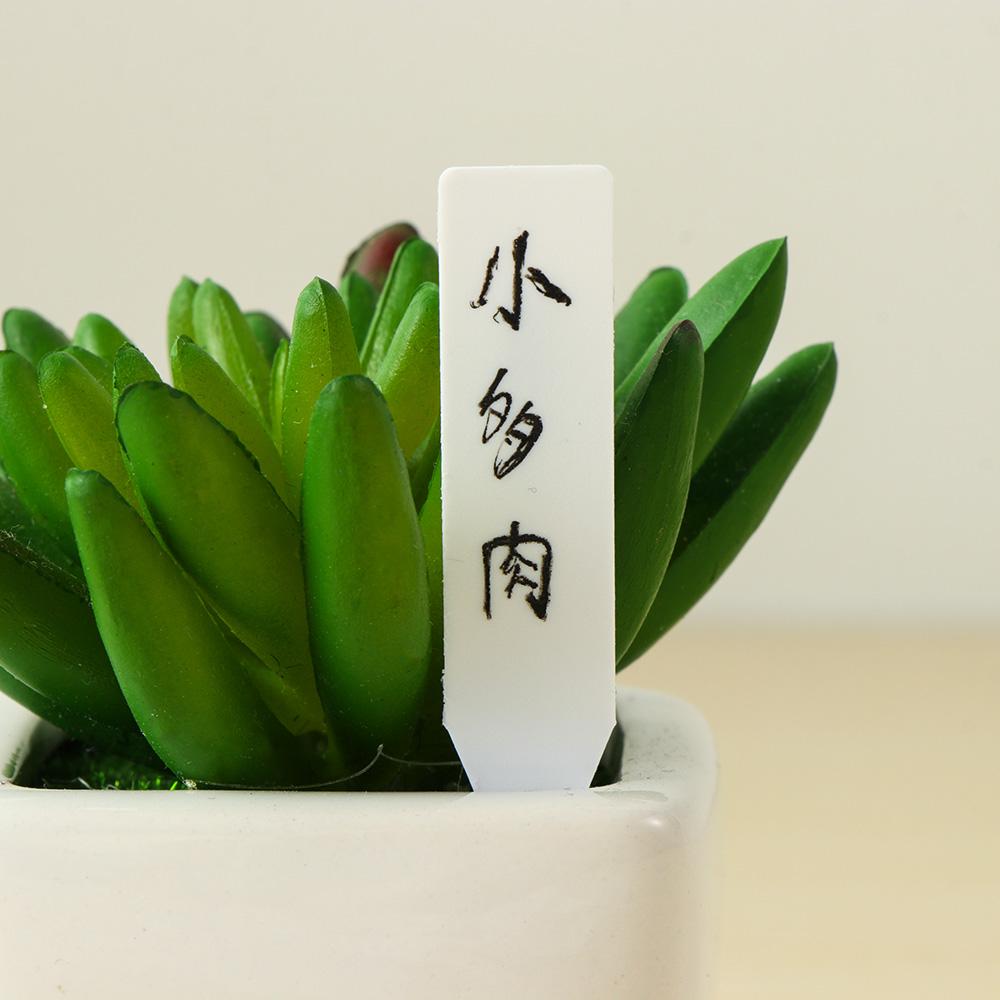 100 Etiquetas Reutilizables pa - Gardening Tools Labeled reseña y precio