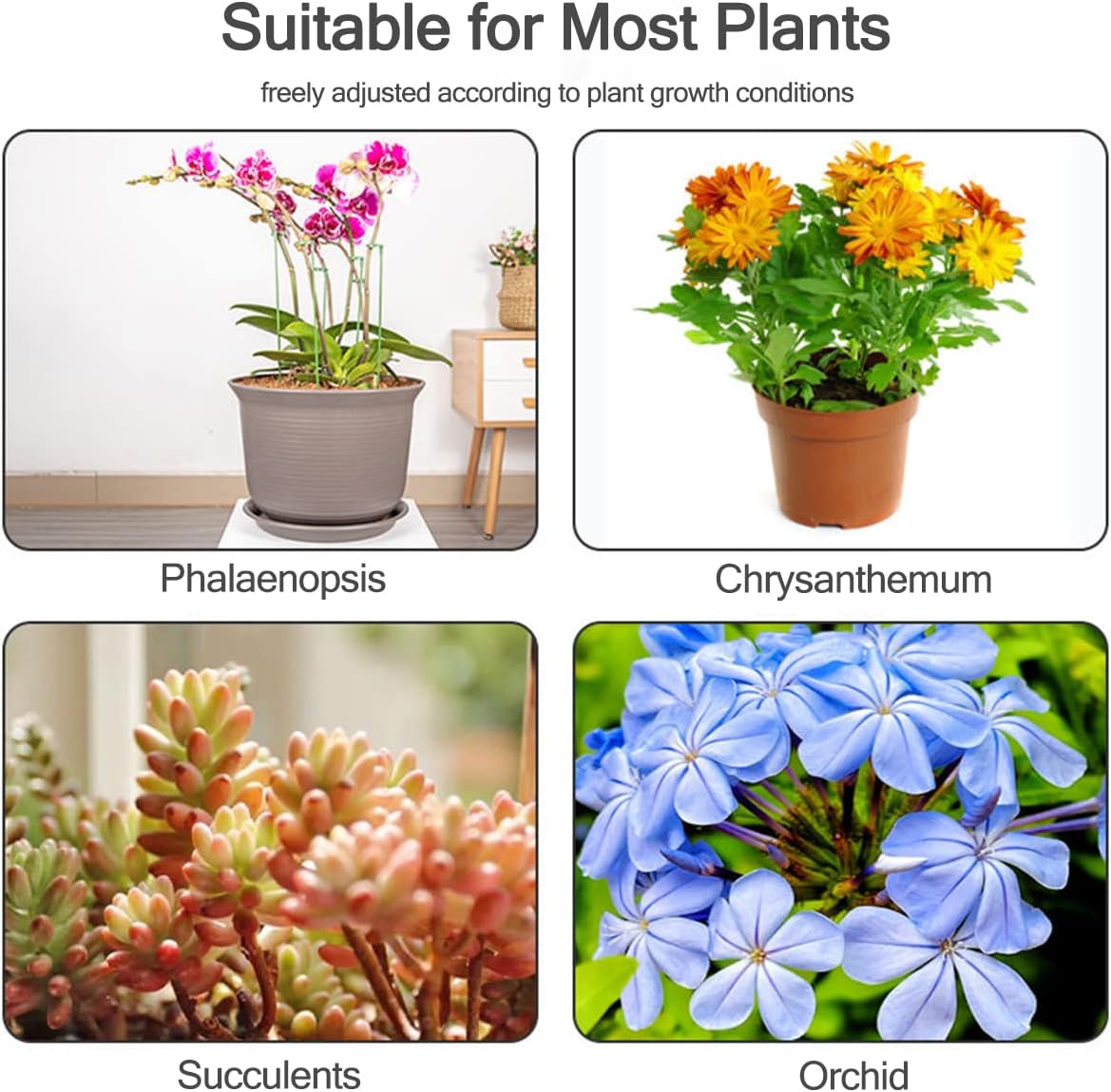 Estacas de Soporte para Planta - Orchid Potting Mix reseña y precio