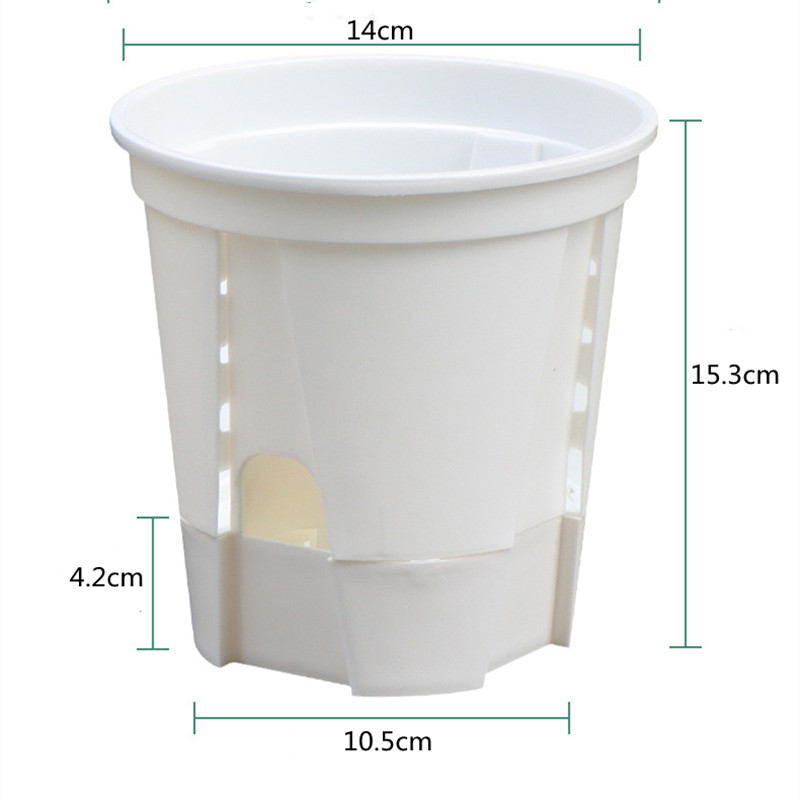 Maceta de orquídeas transparen - Orchid Potting Mix reseña y precio