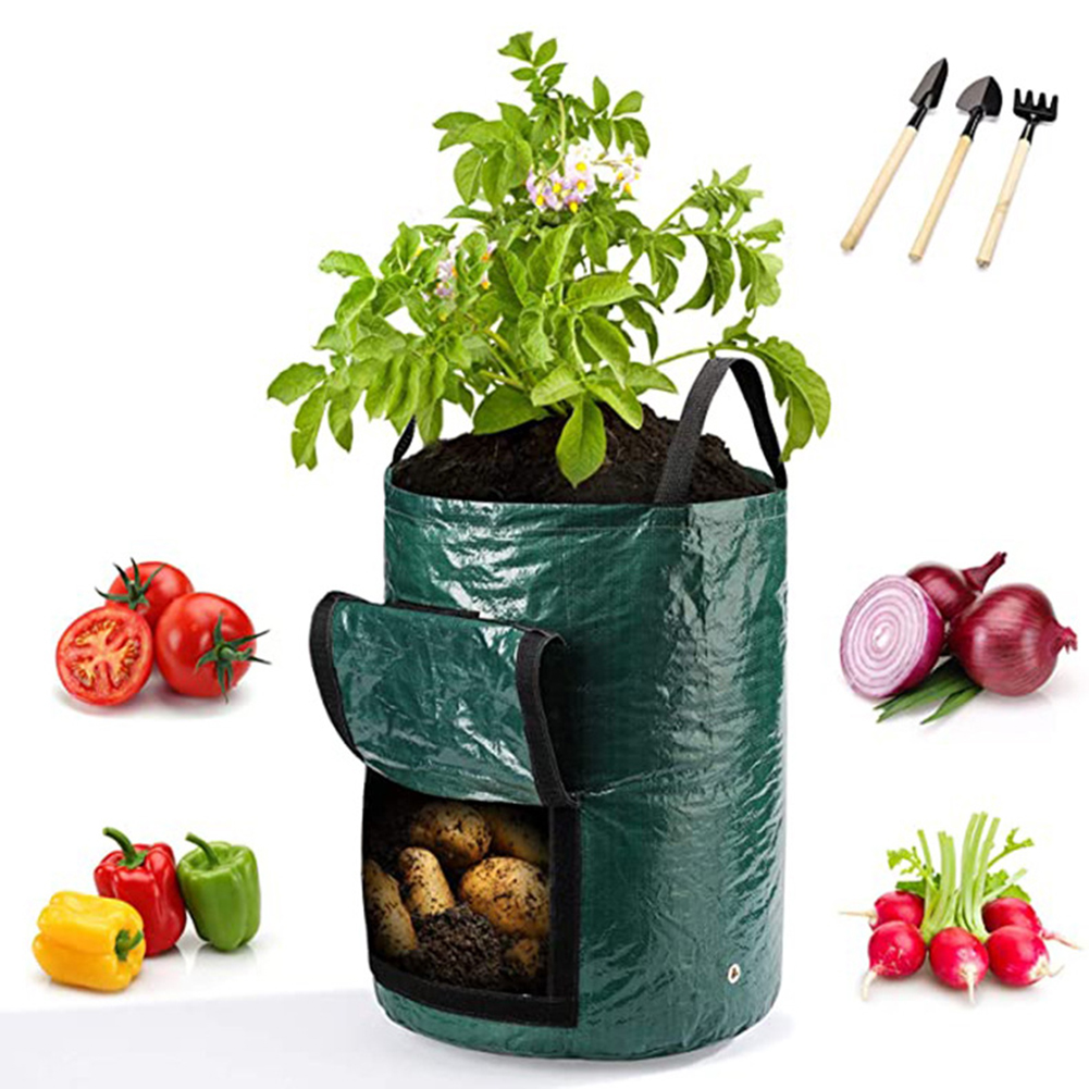 Bolsas de cultivo de 10 galone - Grow Bags reseña y precio